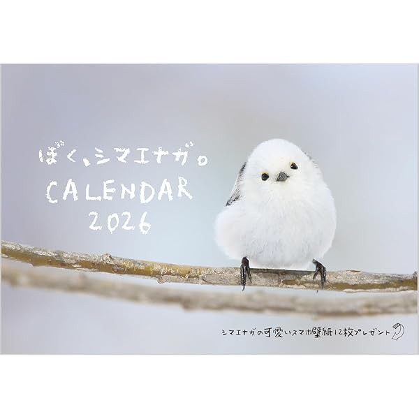 ぼく、シマエナガ。: あなたを癒してくれる63の写真 | やなぎさわ ごう