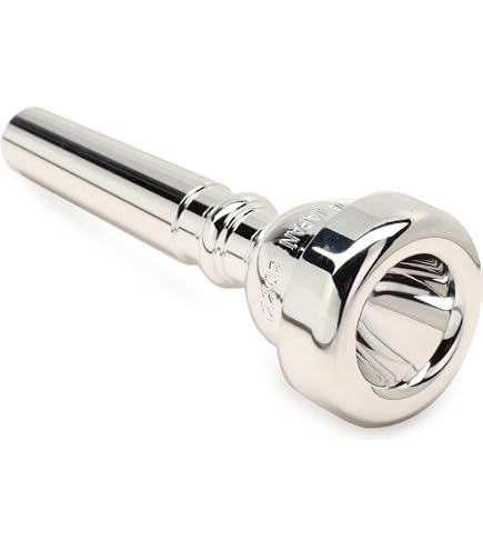 Amazon.co.jp: Denis Wick 4FL SP【フリューゲル ホルン用マウスピース