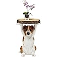 Kare 81956 Animal Side Table, Mister Jack, Height 20.5 inches (52 cm), Weight 14.3 lbs (6.5 kg), Dog