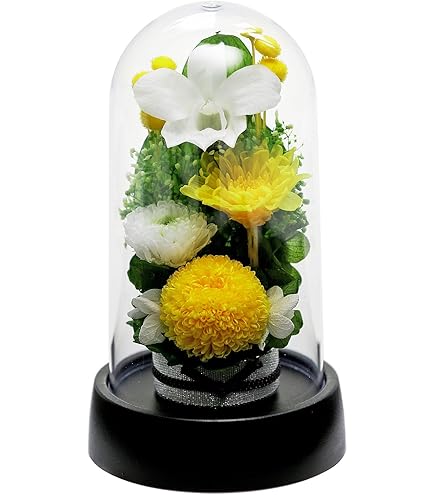 Amazon｜アートフォーシーズン△仏花 （茶系） ミニ輪菊glass ピンク