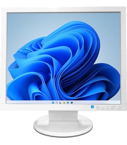 Amazon.co.jp: 液晶ディスプレイ 17型/1280×1024/ブラック LCD-AS173M