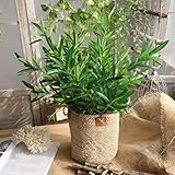 レンコス（Lemcos）　人工観葉植物　葉　インテリア　プレゼント　人工葉　部屋飾り　気分転換　結婚式・美術館・ホーム・庭園・キッチン・オフィス・喫茶店