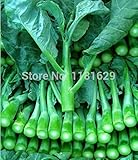 送料無料1元パック200個ガーデン家宝健康的なオーガニック野菜甲斐LANケールの種子を（最小注文$ 5ミックス）