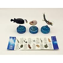 Amazon | 〓海洋堂〓MIU ダイドー深海生物 フィギュア