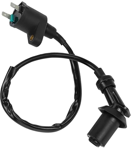 Amazon | INEX 強化イグニッションコイル IGコイル 12V ライブディオZX