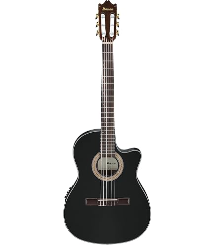 Amazon | 【国内正規品】 IBANEZ アイバニーズ エレクトリック・ガット