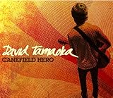 �P�C���t�B�[���h�E�q�[���[�`�T�g�E�L�r���̃q�[���[�`