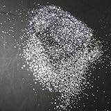 ラメ粉【シルバー0.2ｍｍ】4g
