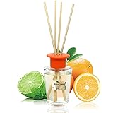 Binca Vidou リードディフューザー 柑橘系の香り 100ml プレゼントとして寝室のリビングルームのオフィスに適用し、ストレスを緩和します