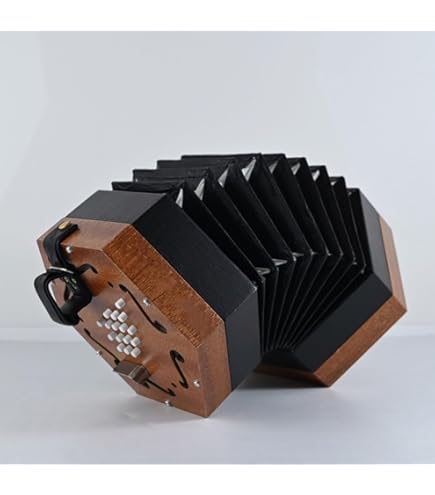 Amazon | 20ボタンコンサーティーナアコーディオン、ポータブル