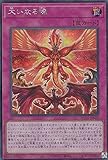 遊戯王 HC01-JP020 大いなる魂 (日本語版 シークレットレア) HISTORY ARCHIVE COLLECTION