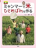 ミャンマーで米、ひとめぼれを作る by Tetsu Okamoto
