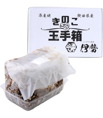 Amazon.co.jp: カネコ種苗 原木しいたけ栽培セット なるきのこ