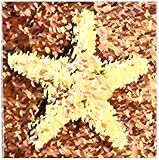 Patricia Sanders Creations – ゴールドヒトデ― nature- Oceanウィンドーウォールアートビーチアート – タイル 6" ct_47219_2