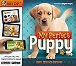 My Perfect Puppy: Best Friends Forever: Free Augmented Reality App (Iexplore)
