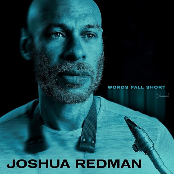 Amazon.co.jp: Words Fall Short [12 inch Analog]: ミュージック