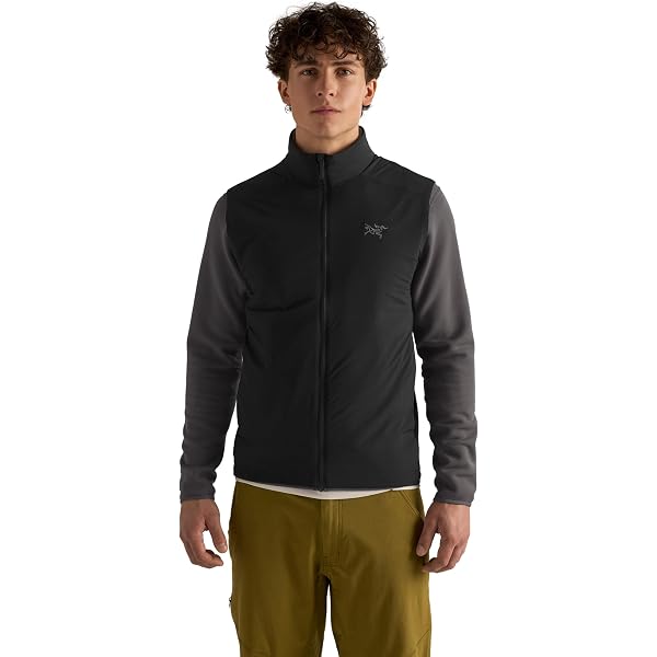 Amazon | [アークテリクス] ARCTERYX アトムベスト男性用 X000007475