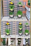 Plant shelf アイロンフラワーポットラック、2段プラントディスプレイスタンド盆栽ホルダーホームガーデンパティオインテリア棚ホルダー Flower racks ( 色 : ブラック , サイズ