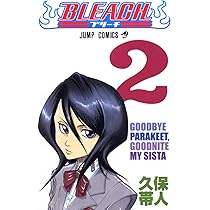 BLEACH　ブリーチ　漫画　マンガ　コミック 9784088801346.jpg