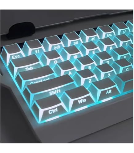 Amazon.co.jp: アークナイツ：エンドフィールド ザイヒ キーキャップ