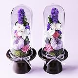 Makefuture 紫苑 M 2個セット プリザーブドフラワー 仏花 お悔やみ ガラスドーム お手入れ不要 ペア 1対