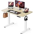 ErGear Electric Office Work Table, Elevating Desk, Standing Desk, Width 39.4 inches (100 cm), Height Memory Function, Automatic Up/Down Elevation, Quiet, Storage Hook Included, Desk, Work Desk,