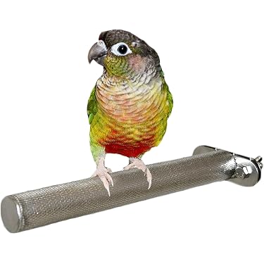 Amazon.co.jp 売れ筋ランキング: 鳥用止まり木 の中で最も人気のある