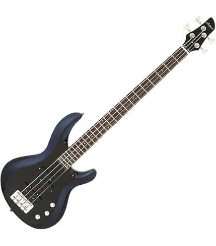 Amazon.co.jp: AriaProIIエレキベース RSB-42AR SBL シースルーブルー