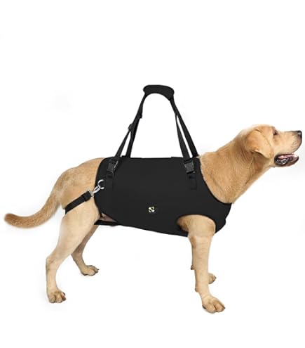 Innopet hondenbuggy Sporty Dog Trailer DeLuxe Rood/Lichtgrijs (tevens hondenfietskar