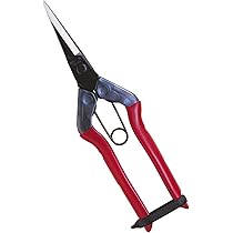 チカマサ　近正　青果鋏　ストッパーなし 31本セット 617003v980L._AC_UL210_SR210,