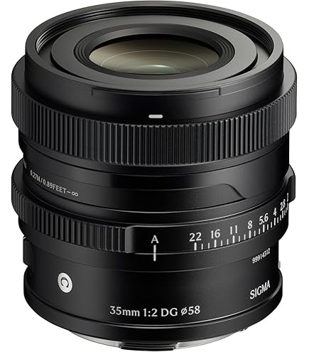 Amazon.co.jp: 35mm F2 DG シルバー Contemporary ライカLマウント 単