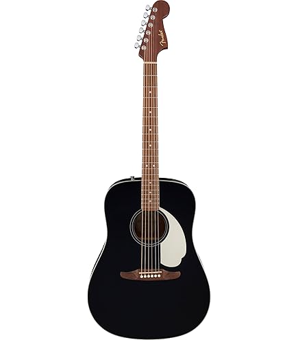 Amazon | Fender/Redondo Player Walnut Fingerboard Tortoiseshell