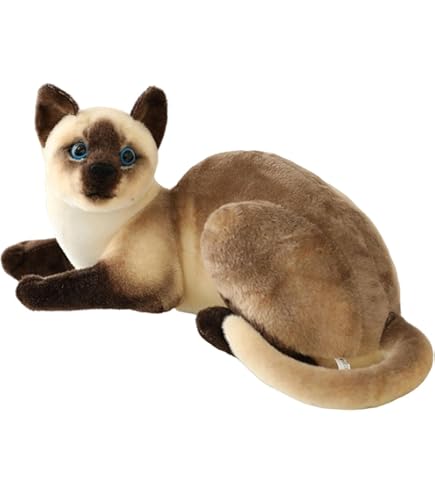 Amazon.co.jp: 愛らしい猫のぬいぐるみ：シャム猫、トラ猫、三毛猫、20
