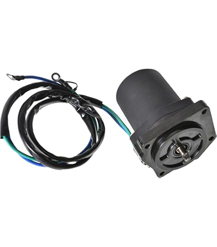 Amazon.co.jp: FridayParts チルトトリムモーター 65W-43880-10-00 67C