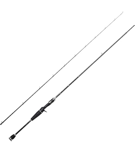 Amazon | AbuGarcia (アブガルシア) Roxani SP 2000SH ロキサーニ