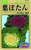 カネコ種苗 草花タネ067 葉ぼたん ちりめん 混合 10袋セット