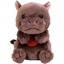 Amazon.co.jp: サン・アロー potte カモノハシ K-9388 : おもちゃ