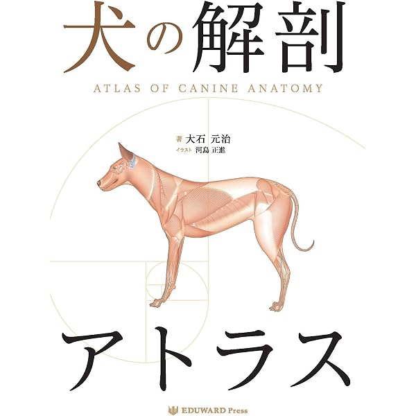 犬の解剖アトラス 日本語版 第2版 |本 | 通販 | Amazon