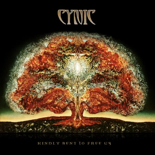 CYNIC 宇宙を感じるプログレ アルバム3作レビュー - 重六低音
