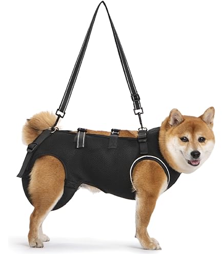 Amazon | ワンエイド リラたっちトリマータイプ | OneAid | ハーネス 通販