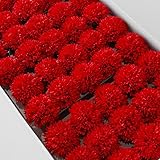 【Blooming＆me】フラワーデザイナーおすすめ！ 花材 花資材 ソープフラワー カーネーション 1BOX(50個入) 【選べるカラー全5色】 (レッド)