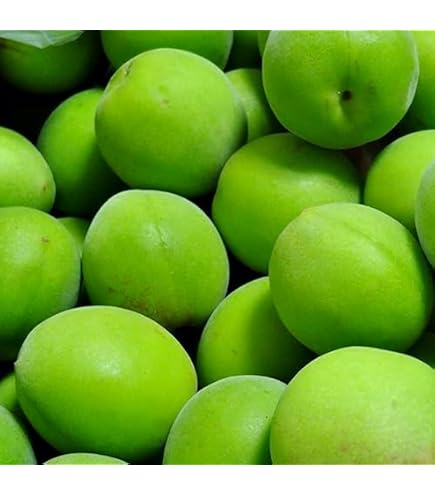 Amazon.co.jp: 和歌山県産 南高梅(青梅)［訳あり］約5kg : 食品・飲料