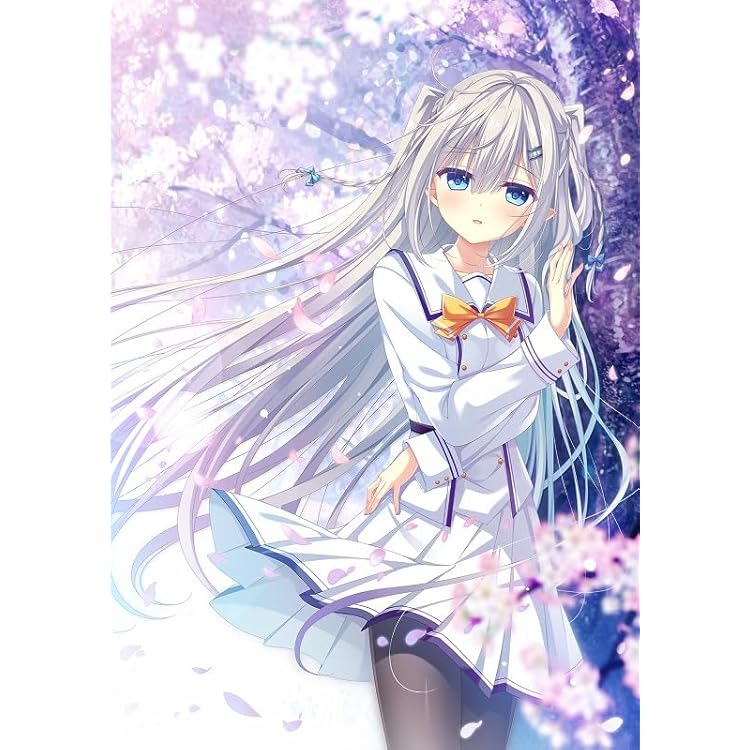 Amazon.co.jp: 【Amazon.co.jp 限定】D.C.5 Plus Happiness ～ダ
