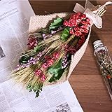 MAKEFUTURE 田中実業 ビッグブーケ ドライフラワー スワッグ 41ｃｍ (ピンク)