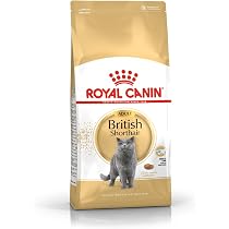 ロイヤルカナン ブリティッシュショートヘア 成猫用