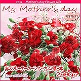 母の日 カーネーション 8本 アレンジ花束（切り花） 【早割・送料無料】（赤・ピンク・ミックス） (赤系)