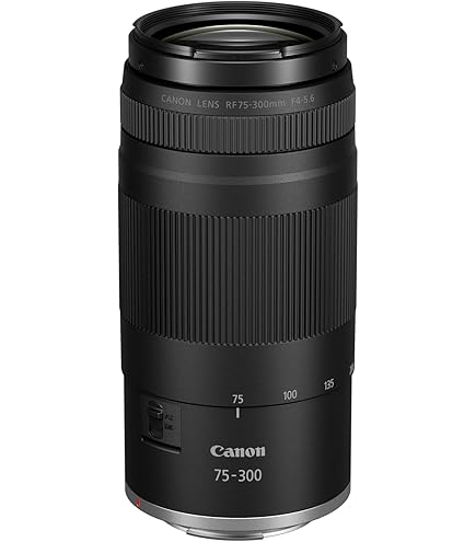 Amazon | Canon キヤノン ズームレンズ EF 75-300mm F4-5.6 Ⅱ