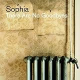 There Are No Goodbyes (Ltd.Digi)