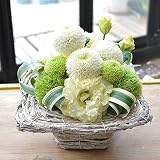 [エルフルール] 夏季限定 夏のお供えアレンジ お供え 法事　生花 ギフト 供花 菊 ギフト お彼岸 お供えの花 法要 お葬式 お盆 ペット