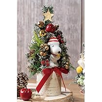 617LeBK-h6L._AC_UL210_SR210,